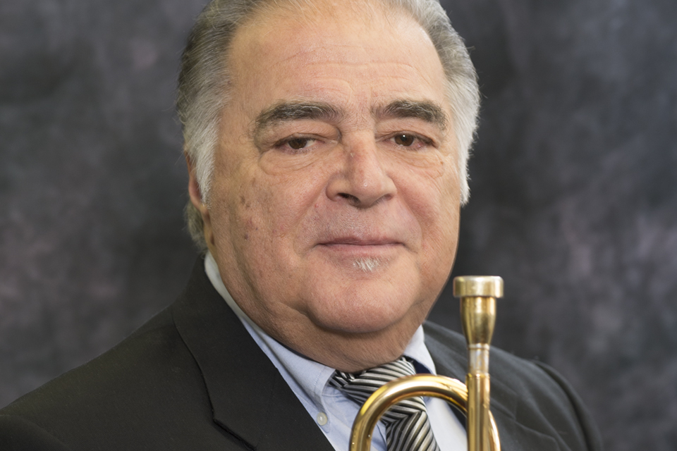 Michael J. DiMeo, director