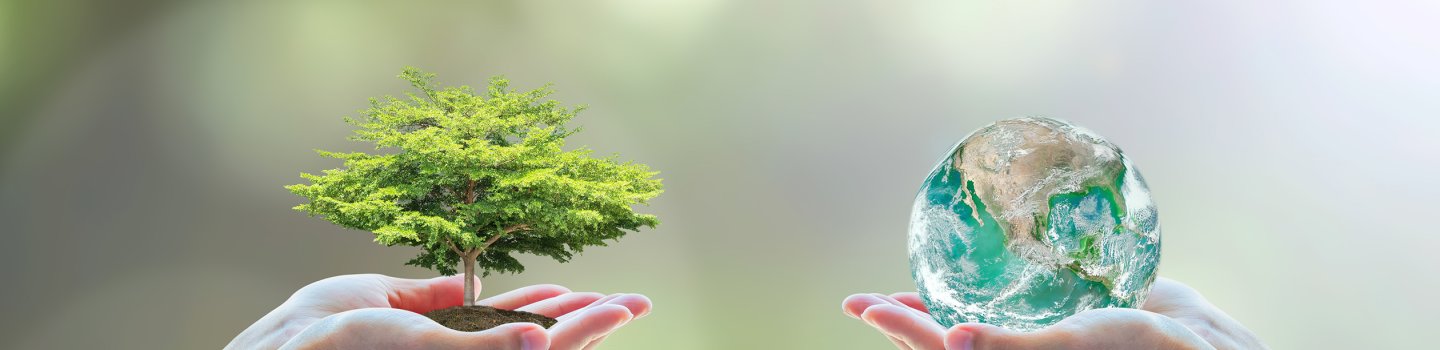 Institute for the Study of Integrative Healthcare