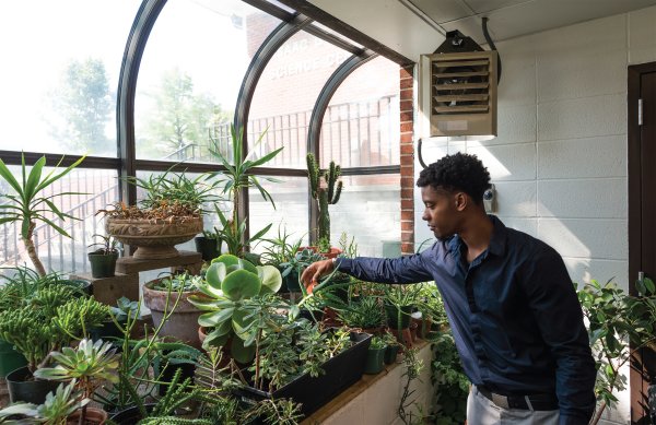 Marcus Recile 18 with plants